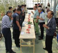 사천시, 수경재배 미니수박 2차 수확