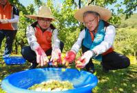 경남농협, 태풍 타파 피해 농가 지원에 구슬땀