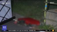 “돼지열병 비상인데” 서울 시내 멧돼지 소동에 시민들 불안