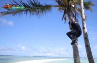 ‘정글의 법칙’ 매튜, 딸 전소미 좋아하는 코코넛 위해 5m 나무타기 도전