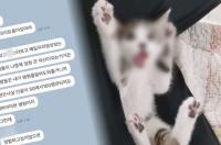 ‘궁금한 이야기Y’ 천사 수의대 유튜버, 동료 증언 “펫샵 고양이 유기묘로 속여”
