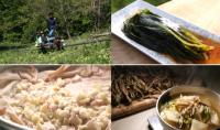 ‘한국인의 밥상’ 토종 먹거리 가득한 을릉도, 명이·삼나물·독도새우·칡소 등