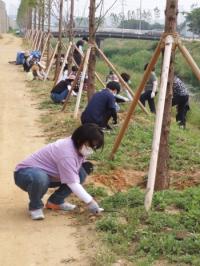 고양시, 명품하천 조성 힘쓴다