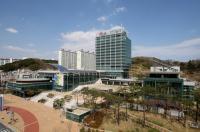 [포항시정] 전세버스 승객명단작성 의무 '행정명령' 外