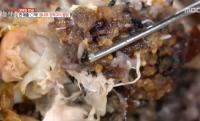 ‘생방송 오늘저녁’ 대박의 탄생 고양 참나무 장작구이 통닭, 인천 짬뽕 순두부 맛집