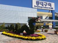 대구수목원, 도심 곳곳 국화작품 1만 5000점 전시