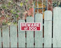 경성대 미술학과, ‘제46회 부산 미술대전’서 다수 수상