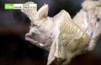 '생방송 투데이' 자족식당, 청양 통나무 옻닭 "15년 키운 통 옻나무 사용"