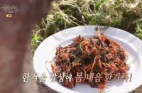 ‘한국인의 밥상’ 주꾸미, 한천, 냉이, 매생이 “봄을 품은 밥상”