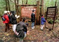 매년 시신 수십여 구가…일본 후지산 기슭 ‘자살숲’ 소문과 진실