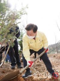 “미세먼지 잡고, 탄소 잡고”...도시 숲 조성해 미세먼지, 탄소배출 줄인다