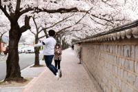 '경주에서 한 달 살아보기' 1기 참여자…'한 달 살아보기' 시작