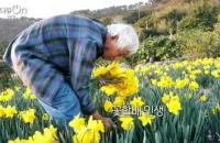 '다큐온' 거제 공곶이 꽃할배의 아름다운 정원, 60년 하나의 꿈 위해 살아