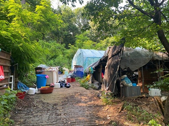 경기도 남양주시 별내동의 한 불법 개농장 모습. 사진=정소영 기자