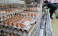 6월 소비자물가 2.4% 상승…AI 여파 달걀 54.9% 급등