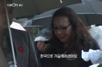 '다큐온' 한국으로 돌아온 6.25 참전용사들, 낯선 땅 다시 찾는 이유는