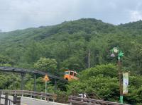 [경남도] 함양산삼항노화엑스포 입장권 30% 할인 판매 마감 임박 外