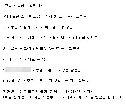 유 씨가 제안한 30만 원 그룹 컨설팅 상세 내용. 사진=고 아무개 씨 제공