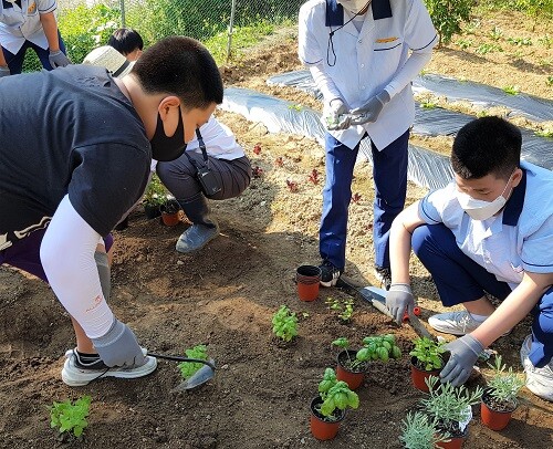 구미중학교에서 학생들이 텃발 활동을 하고 있다 (사진=경북교육청 제공)