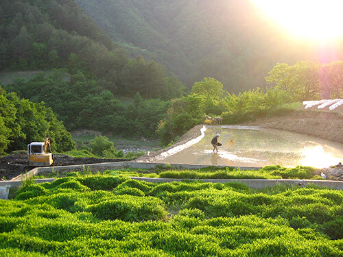 울진 한농마을 마나리꽝 전경 (사진=경북도 제공)