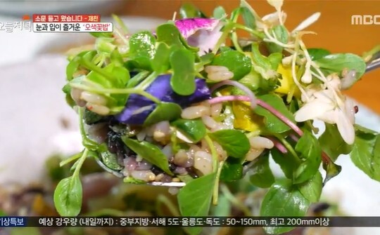 사진=MBC 생방송 오늘저녁