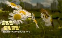 '환경스페셜' 우리의 자연을 보여주는 꿀벌, 도심 속 공생