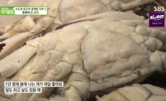 사진=SBS 생방송 투데이