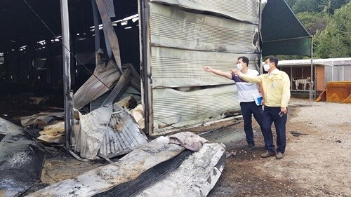 양동면 양계장 화재현장을 방문한 전진선 의장.