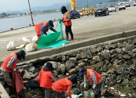 노인일자리 창출 활동 모습