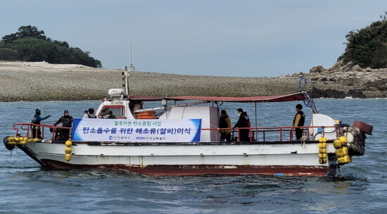 블루카본 확대 시범사업 진행 장면