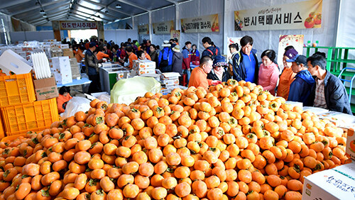 청도반시축제 (사진=청도군 제공)