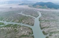 '환경스페셜' 유네스코 세계자연유산 등재 갯벌, 바다 오염물질 제거 능력 탁월