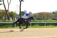 부산경남경마공원 ‘영광의레전드’, 제1회 아름다운질주 Stakes 우승