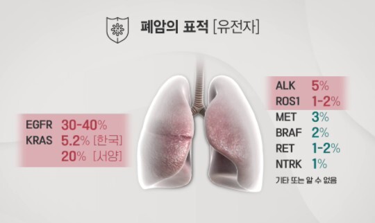 사진=KBS 생로병사의 비밀