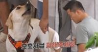 ‘개는 훌륭하다’ 춘천 펜션 마스코트 ‘행복이&만복이’ 형제에 내려진 충격 솔루션