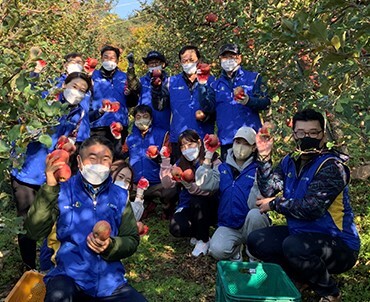 현대중공업직원들 사과따기 봉사활동 장면