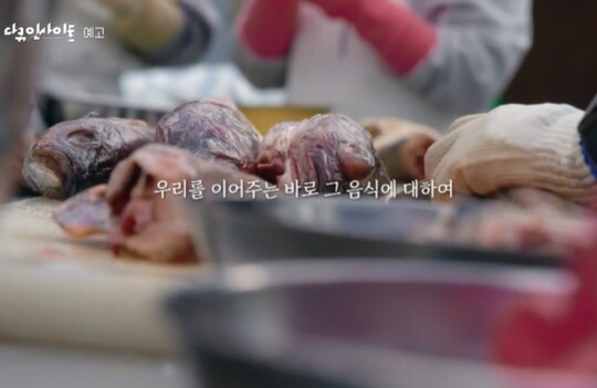 사진=KBS 다큐 인사이트