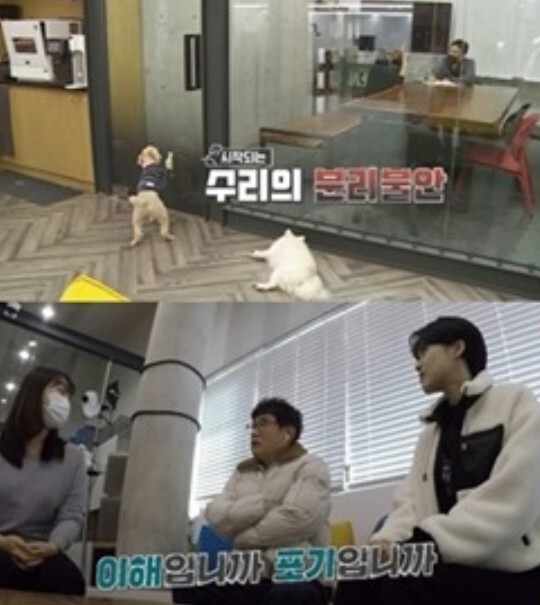 사진=KBS 개는 훌륭하다