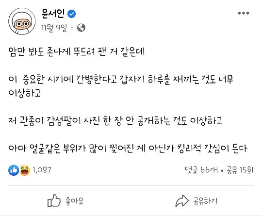 경찰이 이재명 더불어민주당 대선후보의 부인 김혜경 씨가 자택에서 쓰러져 부상당한 사건과 관련, 폭행 의혹을 제기한 만화가 윤서인 씨를 대상으로 선거법 위반 혐의를 수사 중이다. 사진=윤서인 페이스북 캡처