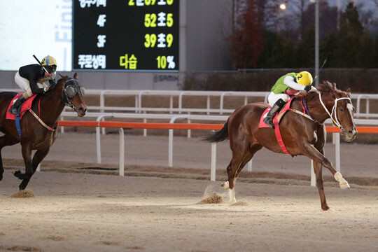 11월 28일 대통령배에서 우승한 심장의고동. 사진=한국마사회 제공