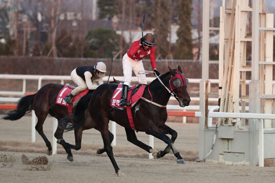 2019년 그랑프리에서 우승한 문학치프. 사진=한국마사회 제공