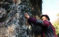 ‘환경스페셜’ 버들치 시인 박남준, 두륜산에 올라 자연이 건네는 위로 전해