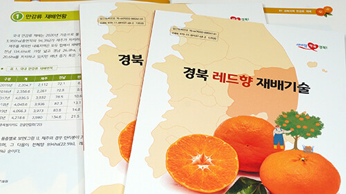 '경북형 레드향 재배 매뉴얼' (사진=경북도 제공)
