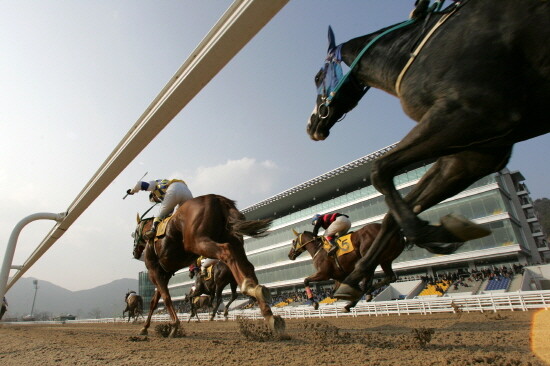 부산경남경마공원 경마 장면. 사진=한국마사회 부산경남본부