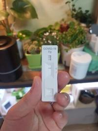대구·경북, 코로나19 확진 1만7095명…사망 19명