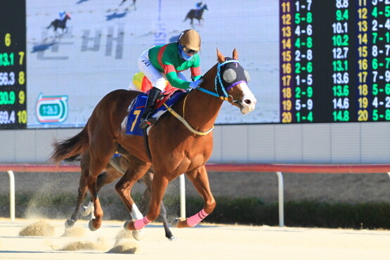 ‘맨오브더이어’의 경주 장면. 사진=부산경남경마공원