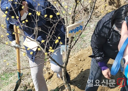 여성포럼 회원들이 내나무를 심고 있다.