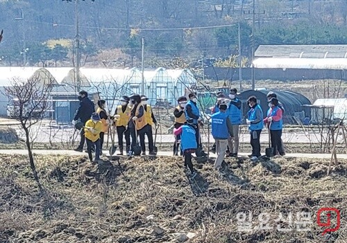 참가자들이 내나무를 심고 있다.