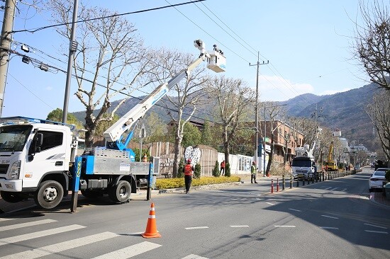 코로나19 유행이 꺾인 가운데 새로운 사회적거리두기가 시작됐다. 봄을 맞아 대구시 남구의 한 도로에서 남구청 직원들이 가로수 정비를 하고 있다. 나무들이 시원하게 이발을 했다. 사진=남경원 기자