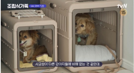 사진=tvN 조립식 가족